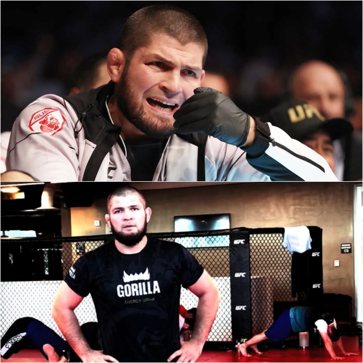 Khabib kicked off plane